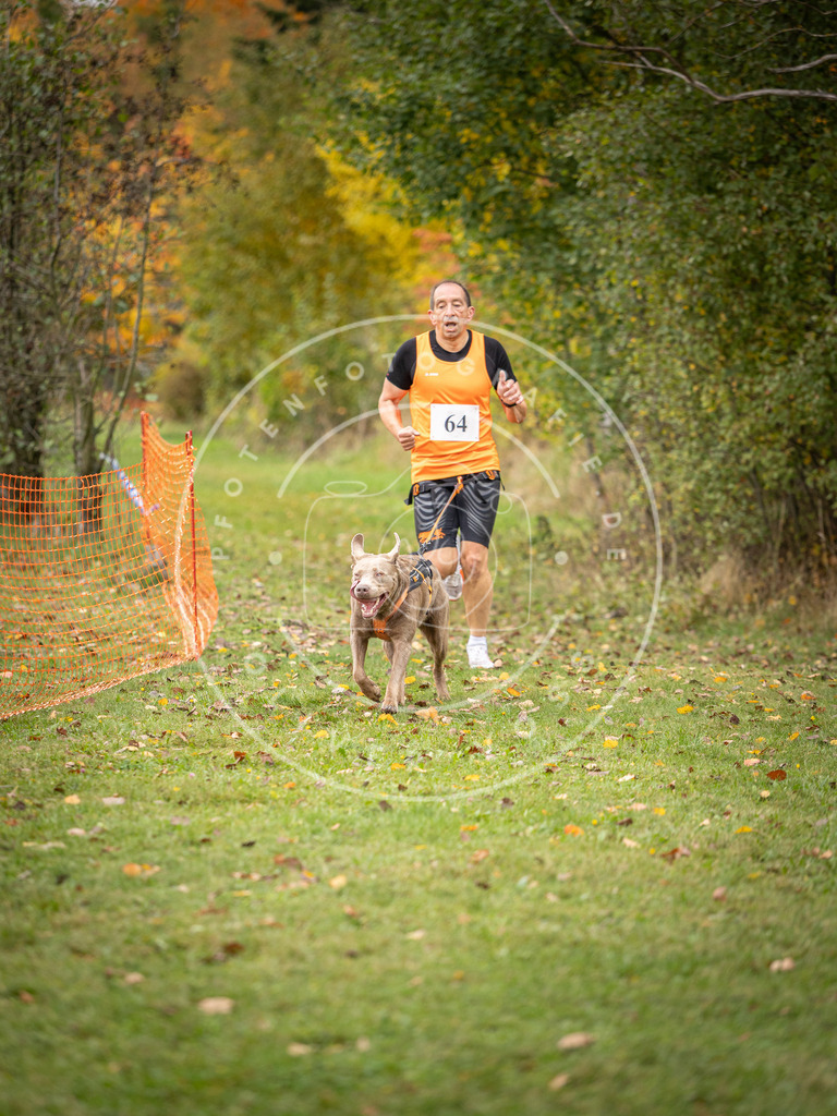 Pfotenfotografie_DV3A2728 | Hundefotografie, Tierfotograf, Pfotenfotografie, Fotoshooting Hund, Hunde Portrait, Hundesport, Hundeportraits, Heideshooting, Hunde, Sportfotograf, Hundefotograf, Turnierhundsport, THS,  - Realisiert mit Pictrs.com
