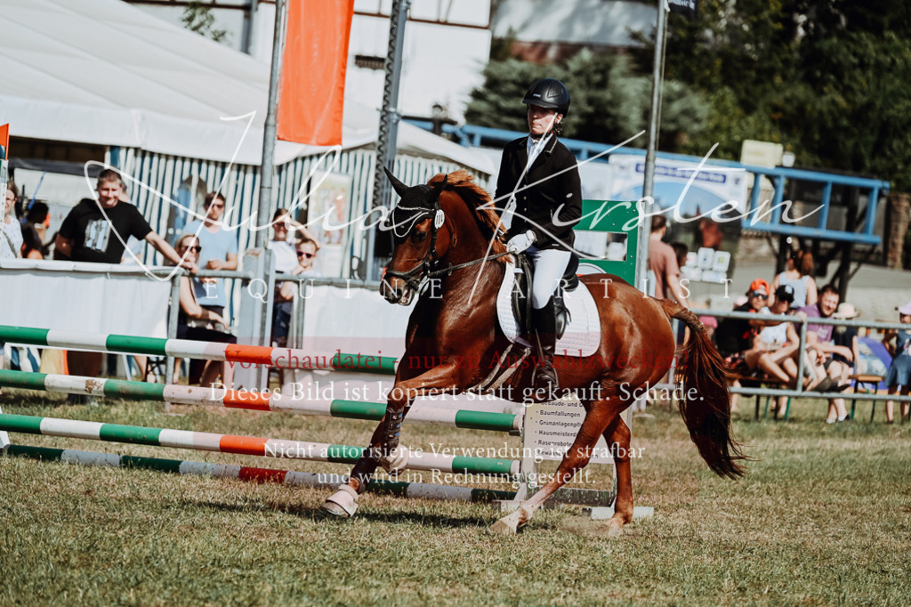 DSC_9361 | Pferde- und Turnierfotografie in Westsachsen. Pferdeportraits, Auftragszeichnungen und intuitive Kunst.