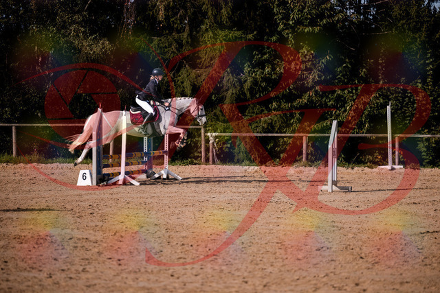 2026_10_03_Siefer-Hof_155157_Z81_71321198 | Professionelle Reitsport-, Turnier- und Eventfotografie von Robert Broda. Galerien mit ausgewählten und bearbeiteten Bildern direkt online ansehen und bestellen.