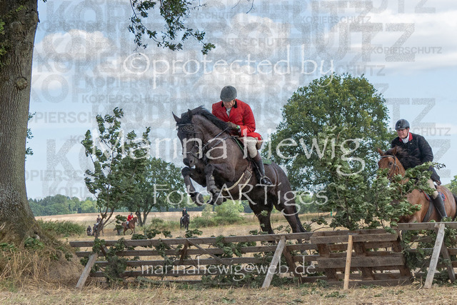 Jagd Wittenberg_MarinaHewig_MCH6712 | Fotografie, FotoArt, PferdesportArt, Pferdesportfotografie, Landschaftsfotografie, Reisefotografie, Reise, Pferde - Realisiert mit Pictrs.com