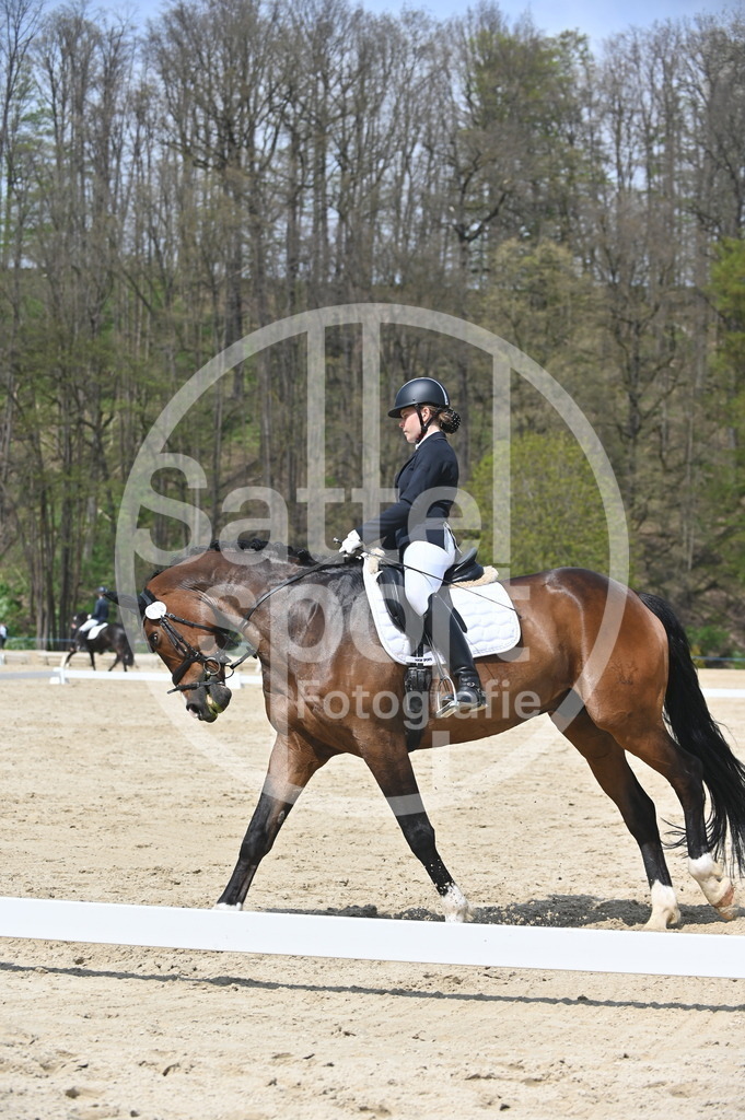 DSC_2367 | sattelsport - Realisiert mit Pictrs.com