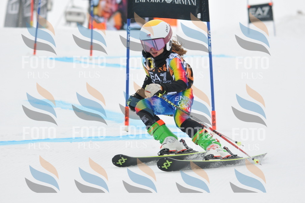 DSC_7516 | holidayphoto