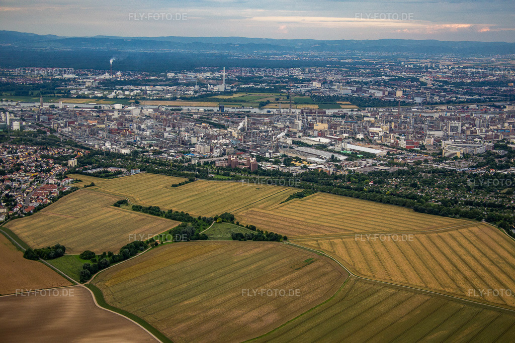 Luftbild: BASF von Westen im Ortsteil Friesenheim in Ludwigshafen im Bundesland Rheinland-Pfalz in Deutschland. Foto: IMG_091044.jpg vom 04.07.2016 durch Werner Riehm/FLY-FOTO.de