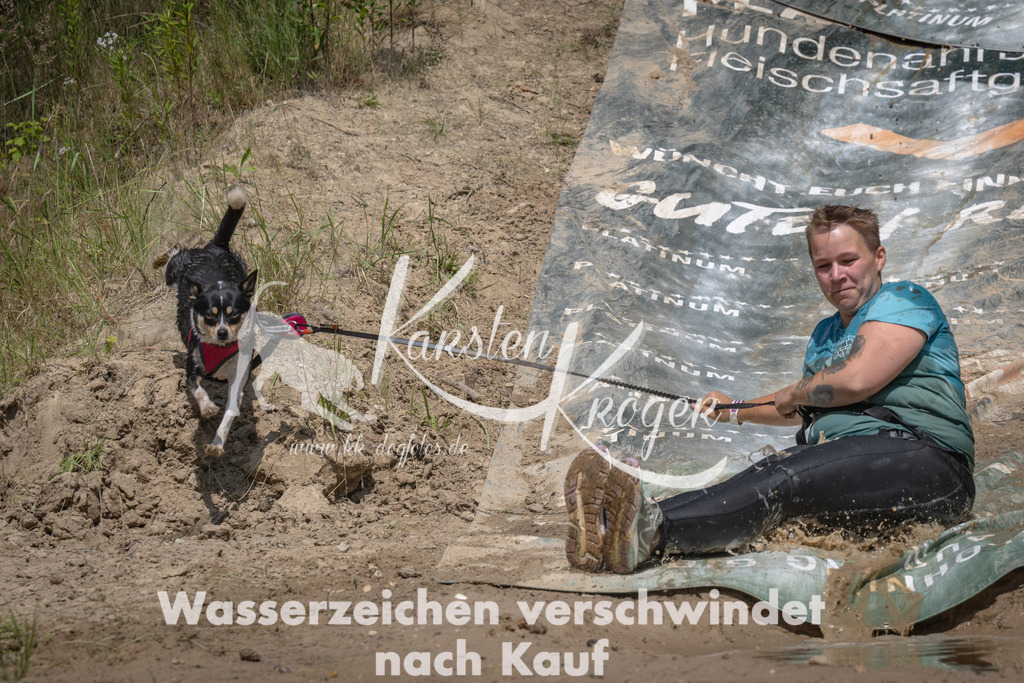 1445_ZZ90673 | kk-dogfotos