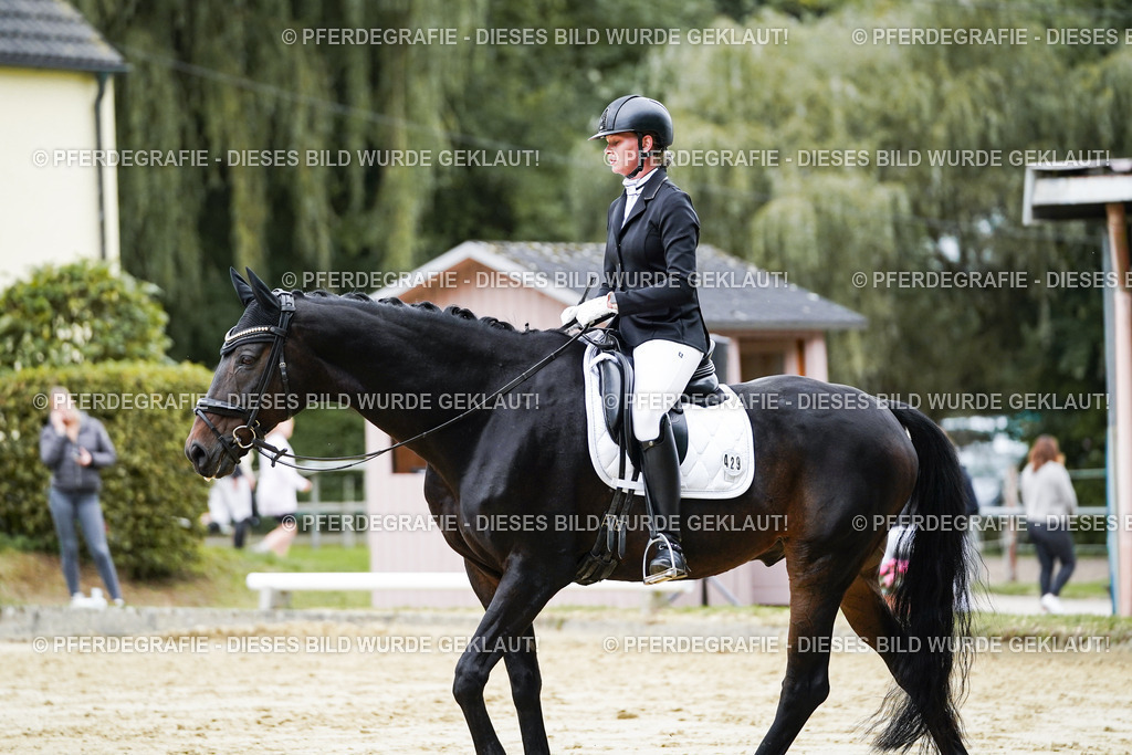 DSC07231 | Pferdegrafie