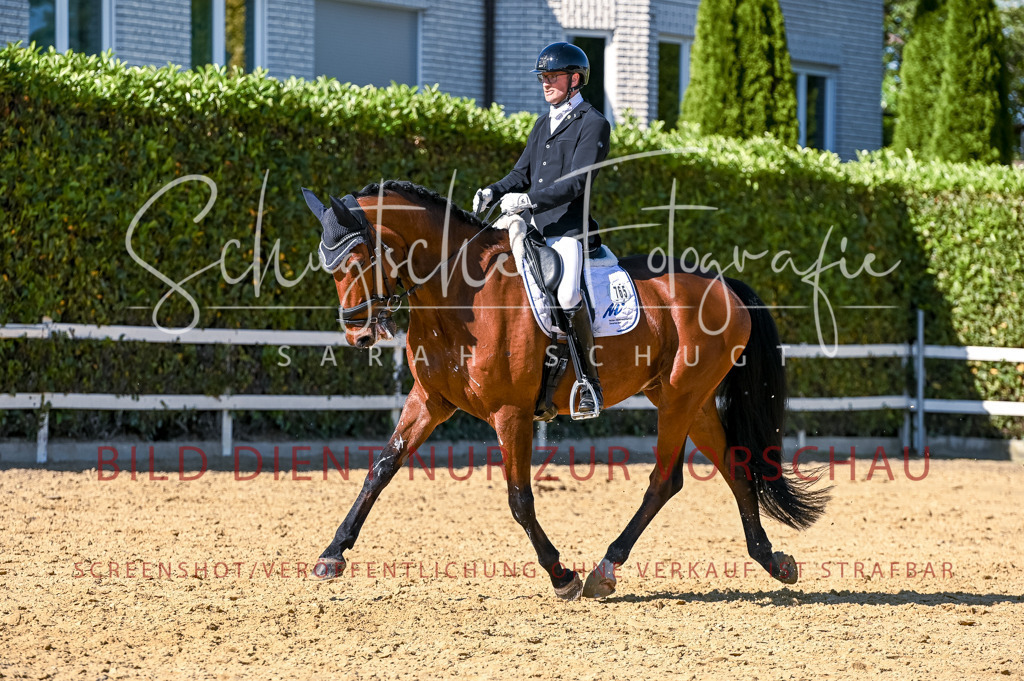 Schugtsche-Aluta25-50.Dressurpferdeprf.L-257 | Schugtsche Fotografie - Realisiert mit Pictrs.com