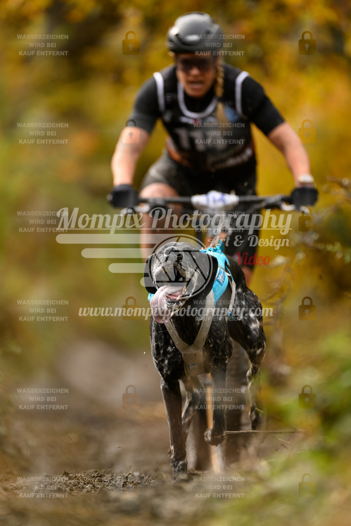 MompixPhotography_ICF_WC_2024_SA_Bike_-90 | PayLife