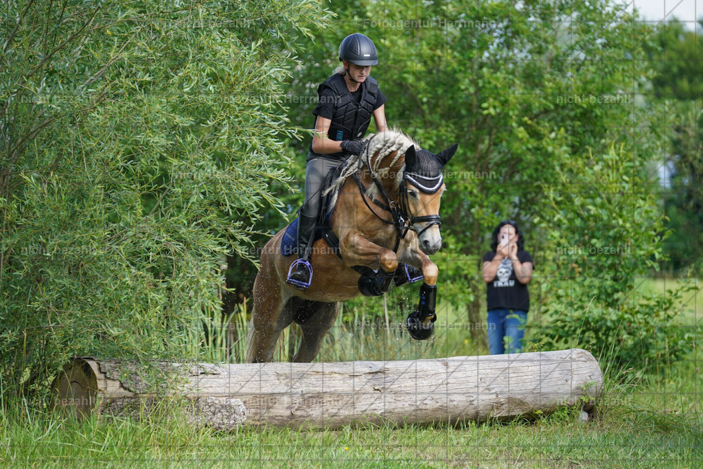 20240622-FAH08126 | Turnierfotografen Bayern, Reitsportbilder aus dem Geländekurs mit Felix Etzel auf dem Gut Waitzacker 2024