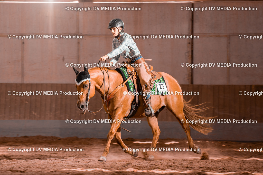 NE200719 | dv-media-shop - Realisiert mit Pictrs.com