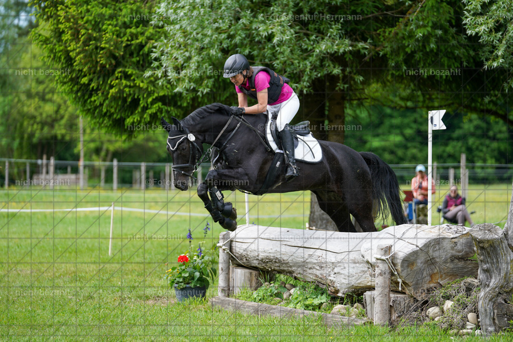 20240518-FAH03934 | Turnierbilder von Niederseon, Turnierfotografen Bayern, Fotoagentur Herrmann, Geländebilder, Reitsportfotografie