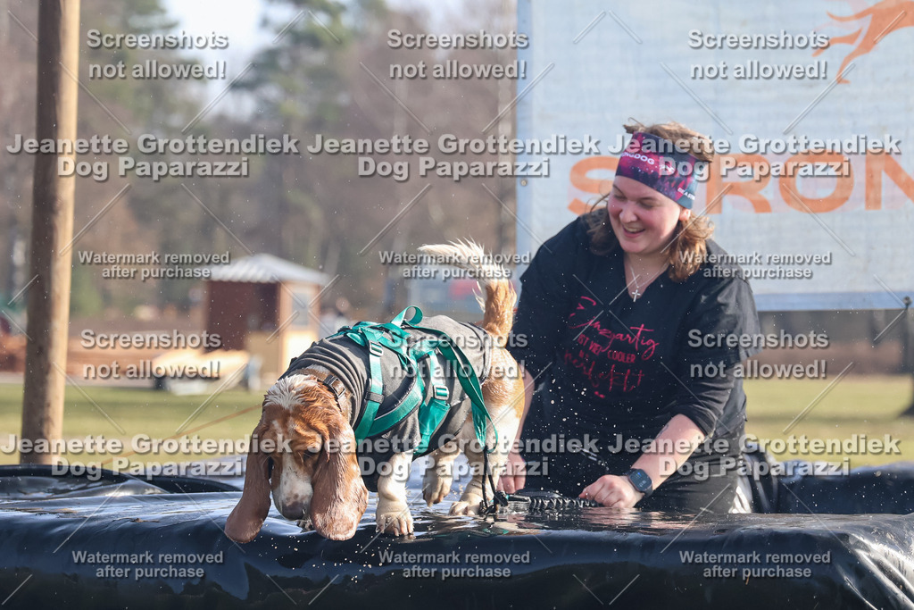 Dog Paparazzi - Strongdog North Mrz26-728 | Dog Paparazzi Jeanette Grottendiek Fotografie & Videografie - Realisiert mit Pictrs.com