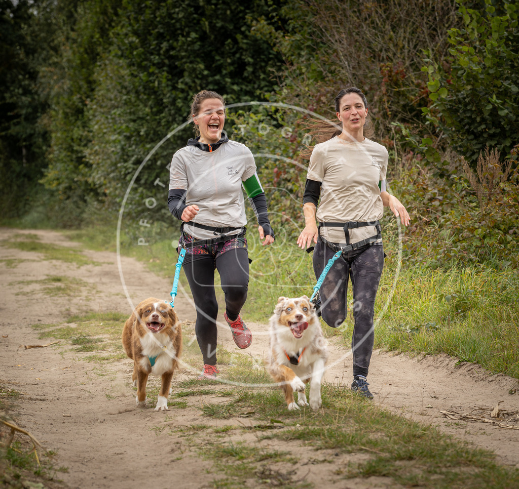 Pfotenfotografie_DV3A8506 | Hundefotografie, Tierfotograf, Pfotenfotografie, Fotoshooting Hund, Hunde Portrait, Hundesport, Hundeportraits, Heideshooting, Hunde, Sportfotograf, Hundefotograf, Turnierhundsport, THS,  - Realisiert mit Pictrs.com