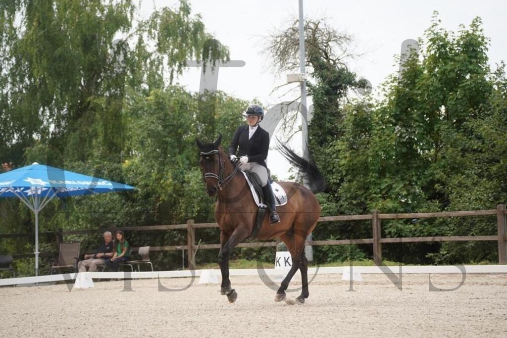 tbhsamstag (500) | d.tail Visions - Shop - Realisiert mit Pictrs.com