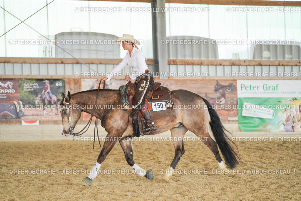 DSC01434 | Pferdegrafie