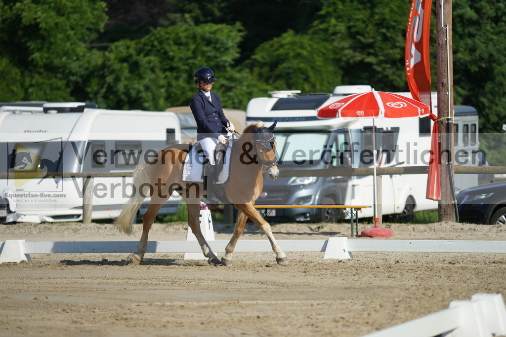 DSC04102 | equestrian-live-com