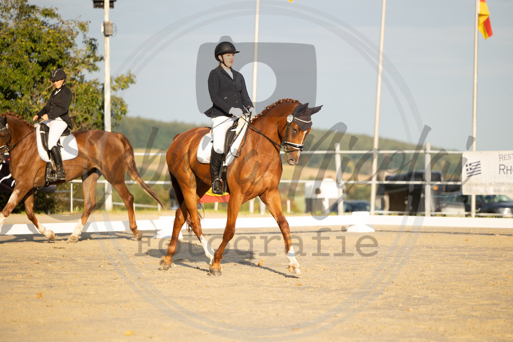 994A0235 | sabrinanicolaifotografie - Realisiert mit Pictrs.com