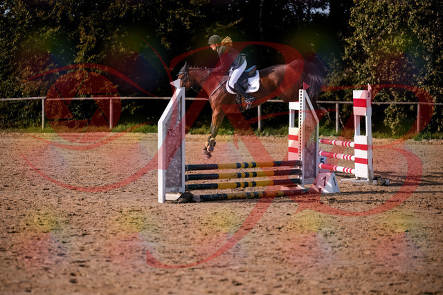 2026_10_03_Siefer-Hof_161049_Z81_90553121 | Professionelle Reitsport-, Turnier- und Eventfotografie von Robert Broda. Galerien mit ausgewählten und bearbeiteten Bildern direkt online ansehen und bestellen.