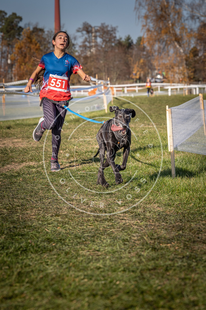CaniXpix_0L8A7742 | Hundefotografie, Tierfotograf, Pfotenfotografie, Fotoshooting Hund, Hunde Portrait, Hundesport, Hundeportraits, Heideshooting, Hunde, Sportfotograf, Hundefotograf, Turnierhundsport, THS,  - Realisiert mit Pictrs.com