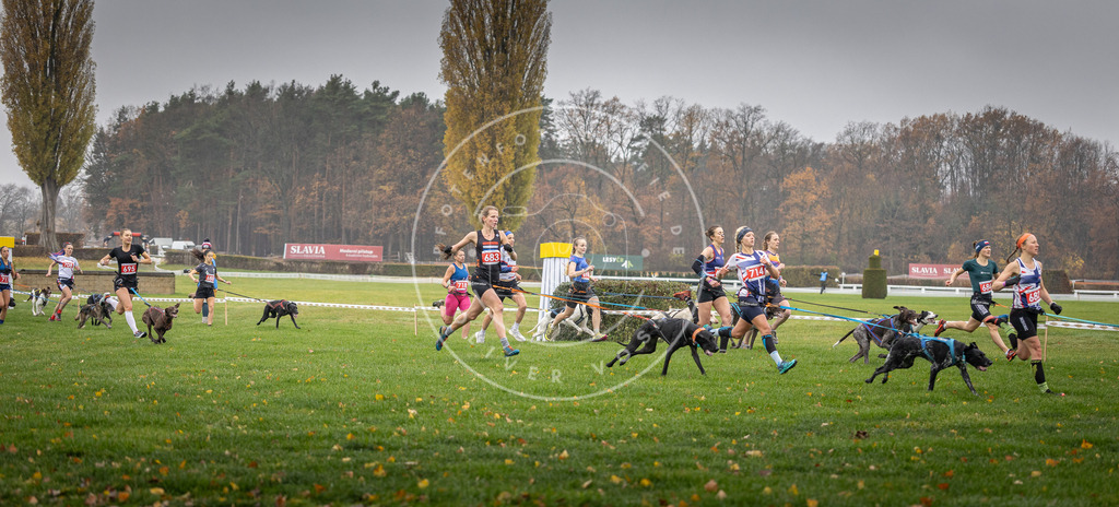 CaniXpix_DV3A8743 | Hundefotografie, Tierfotograf, Pfotenfotografie, Fotoshooting Hund, Hunde Portrait, Hundesport, Hundeportraits, Heideshooting, Hunde, Sportfotograf, Hundefotograf, Turnierhundsport, THS,  - Realisiert mit Pictrs.com