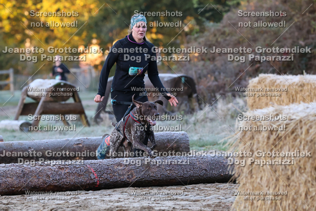 Dog Paparazzi - Strongdog 10-25-193 | Dog Paparazzi Jeanette Grottendiek Fotografie & Videografie - Realisiert mit Pictrs.com