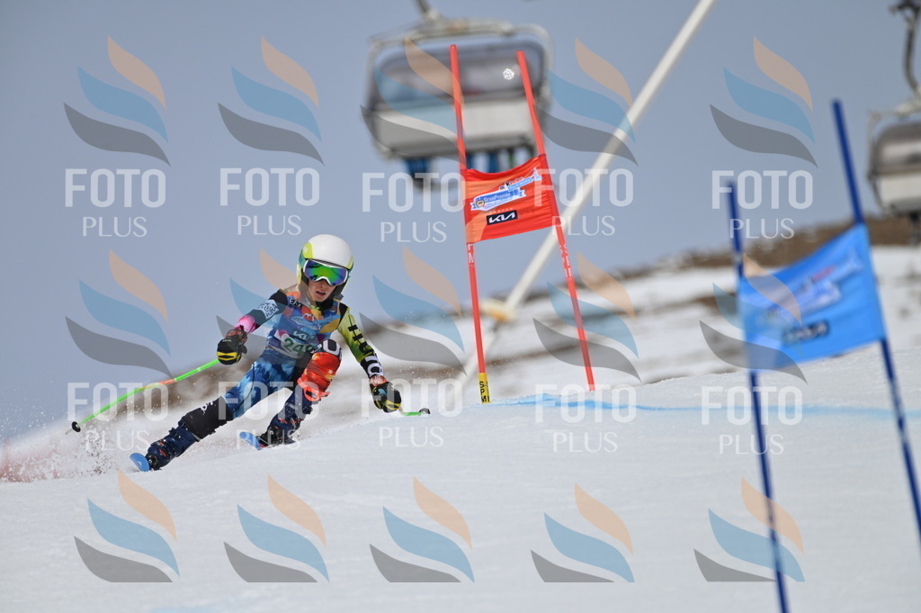 BGV_4924 | holidayphoto