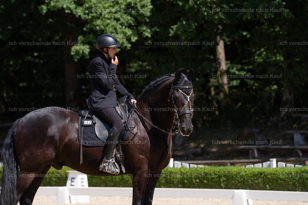 WS_DR_132_sinafilmart_IN09389 | working equitationturnier fotograf videograf stoibphotography marixx film working equitation deutschland reitsport turnierfotografie eventfotografie equestrian events