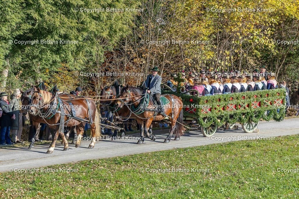 LBT25-578 | foto-bettina-krinner - Realisiert mit Pictrs.com