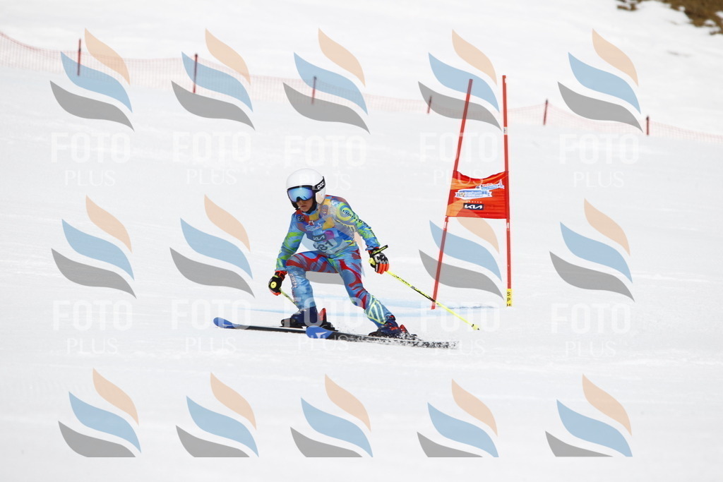 _U3G7035 | holidayphoto