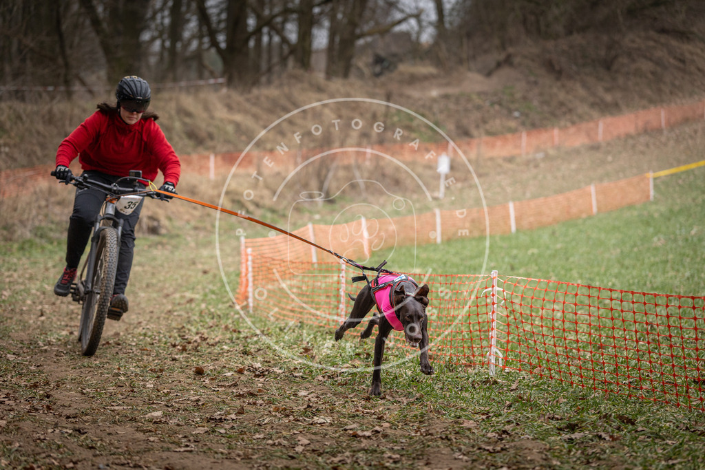 Pfotenfotografie_DV3A5132 | Hundefotografie, Tierfotograf, Pfotenfotografie, Fotoshooting Hund, Hunde Portrait, Hundesport, Hundeportraits, Heideshooting, Hunde, Sportfotograf, Hundefotograf, Turnierhundsport, THS,  - Realisiert mit Pictrs.com