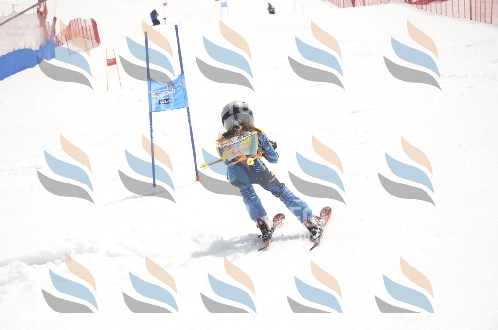 _ELE8797 | holidayphoto