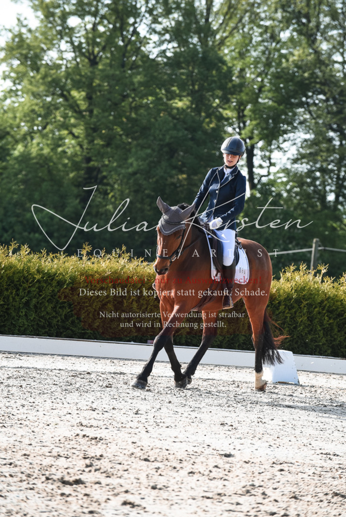 20230518_JK-Röhrsdorf-09-0845 | Pferde- und Turnierfotografie in Westsachsen. Pferdeportraits, Auftragszeichnungen und intuitive Kunst.