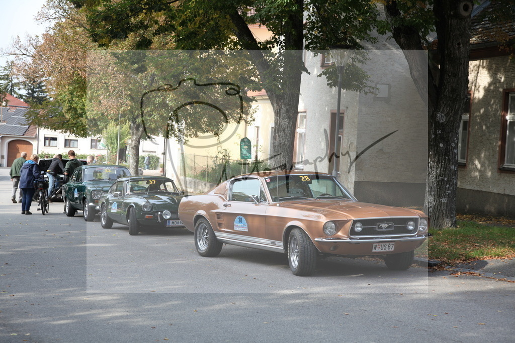 IMG_2135 | Gerhard Witt