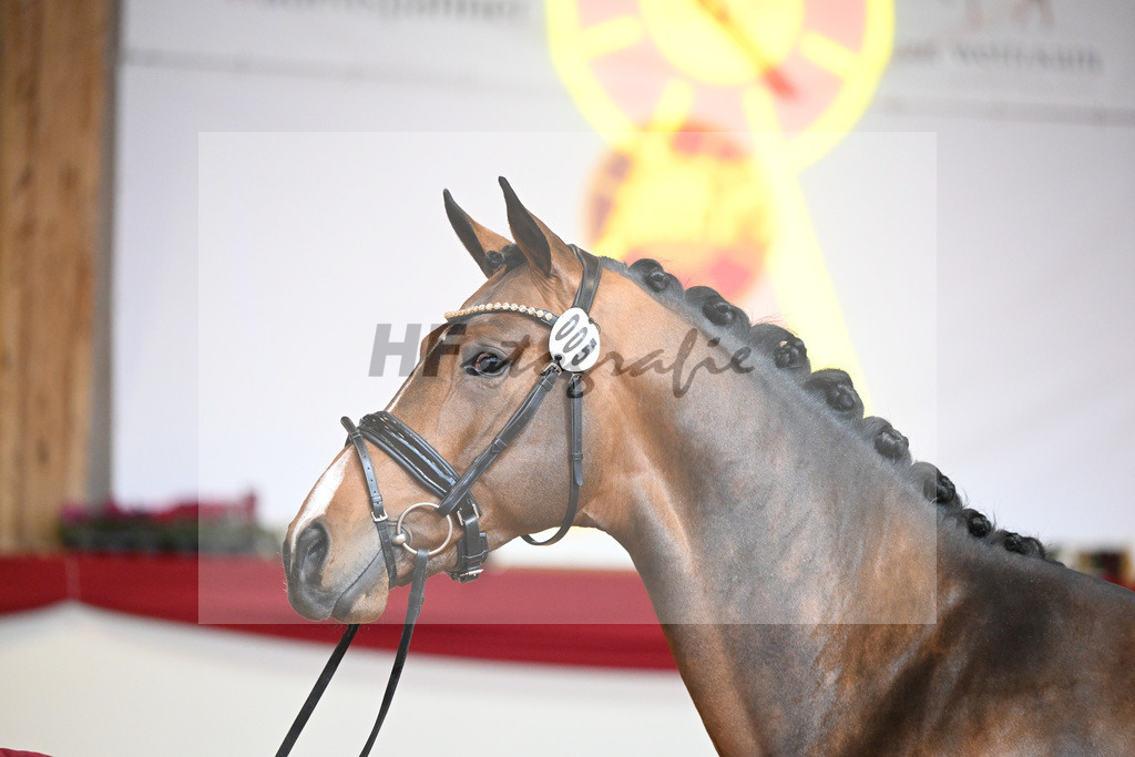 Kat-Nr. 5 Carrera VDL_Schep_1231128 | hf-fotografie - Realizzato con Pictrs.com