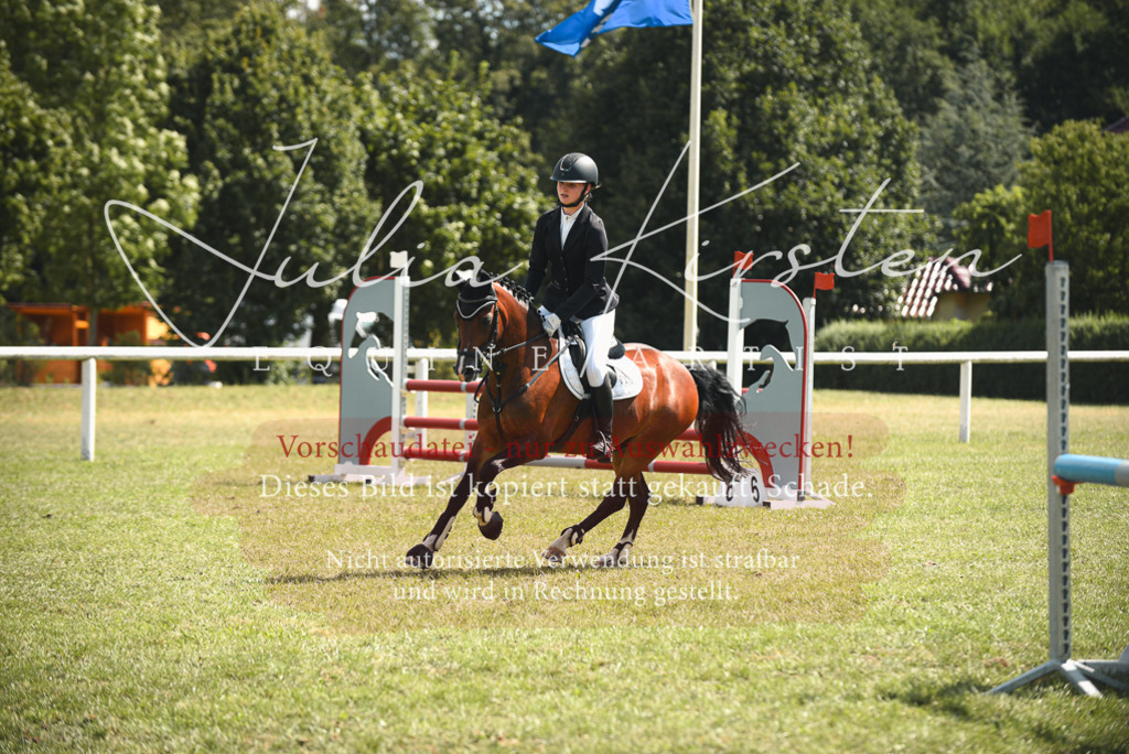 DSC_6797 | Pferde- und Turnierfotografie in Westsachsen. Pferdeportraits, Auftragszeichnungen und intuitive Kunst.