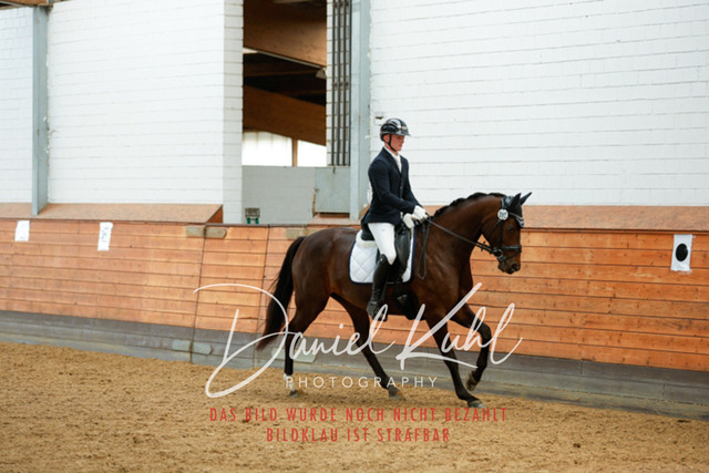 _62_7077 | Turniersportfotografie; Pferdefotografie; Dressurfotografie