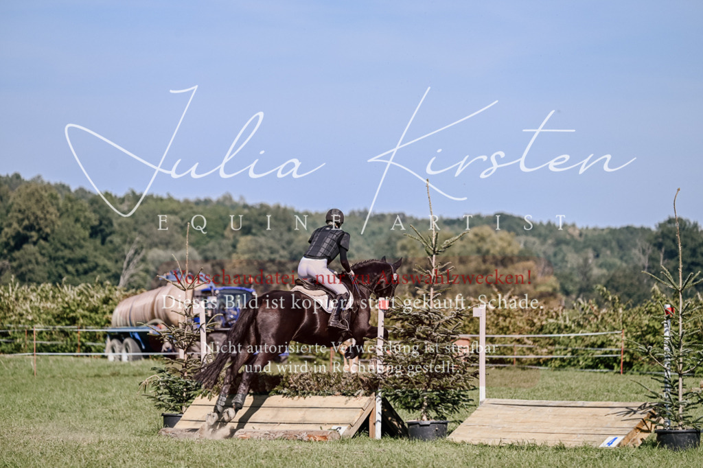 DSC_3508 | Pferde- und Turnierfotografie in Westsachsen. Pferdeportraits, Auftragszeichnungen und intuitive Kunst.