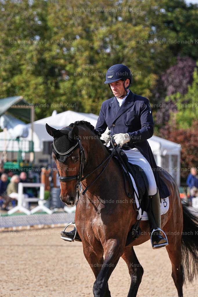 13-226-S___ -Marixx-7031 | working equitationturnier fotograf videograf stoibphotography marixx film working equitation deutschland reitsport turnierfotografie eventfotografie equestrian events