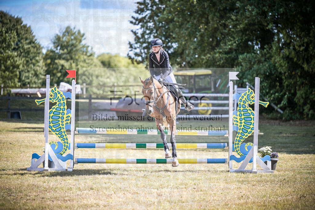 DOS_1118 | Entdecke hochwertige Reitturnierfotos von Foto Oger. Professionell, emotional und authentisch – jetzt Lieblingsmomente im Shop bestellen.Deutschlandweite Turnierfotografie. - Realisiert mit Pictrs.com