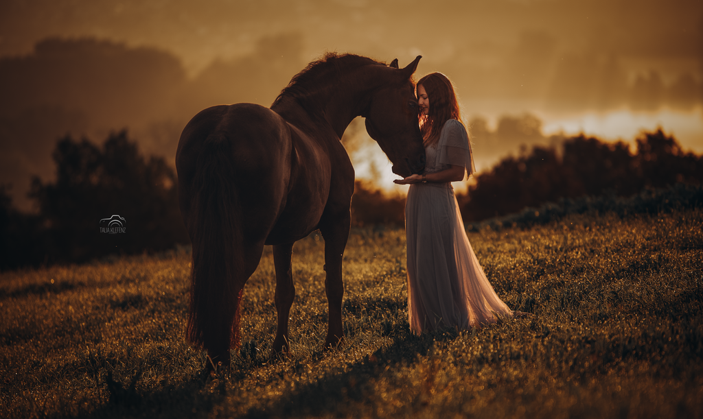 GZ6_3016 | Emotionale Pferde- & People-Fotografie rund um Heidelberg, Leimen & Umgebung. Natürliche Fotos von Pferd, Mensch & Familie. Jetzt Termin sichern!