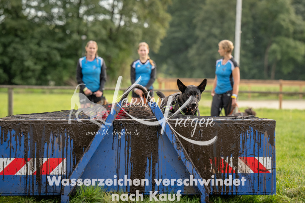 1041_ZZ91864 | kk-dogfotos
