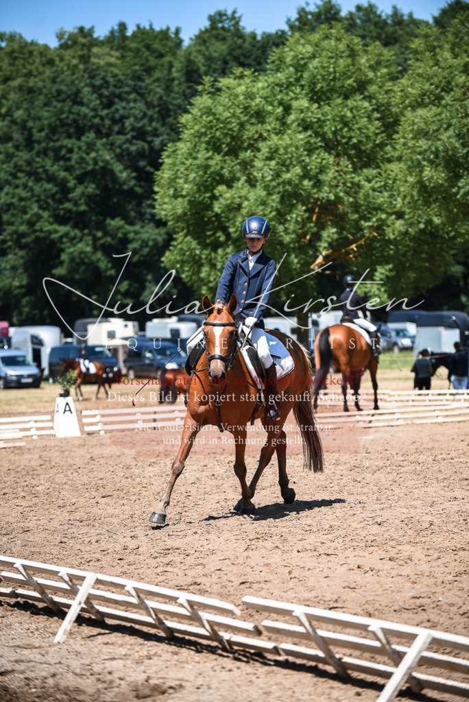 DSC_2910 | Pferde- und Turnierfotografie in Westsachsen. Pferdeportraits, Auftragszeichnungen und intuitive Kunst.