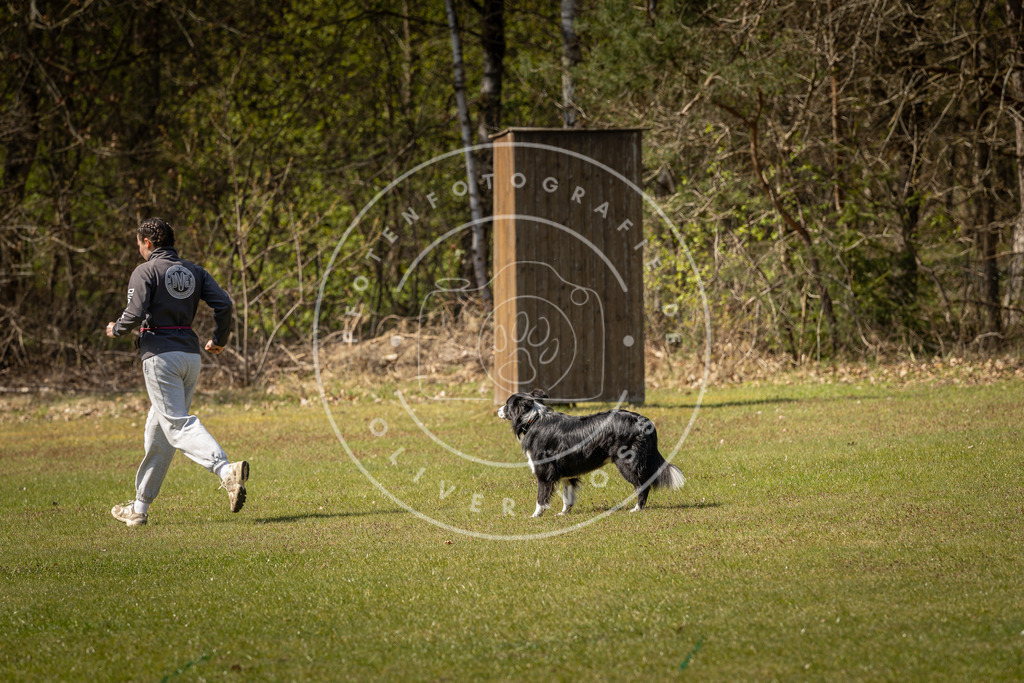 Pfotenfotografie_DV3A1086 | Hundefotografie, Tierfotograf, Pfotenfotografie, Fotoshooting Hund, Hunde Portrait, Hundesport, Hundeportraits, Heideshooting, Hunde, Sportfotograf, Hundefotograf, Turnierhundsport, THS,  - Realisiert mit Pictrs.com