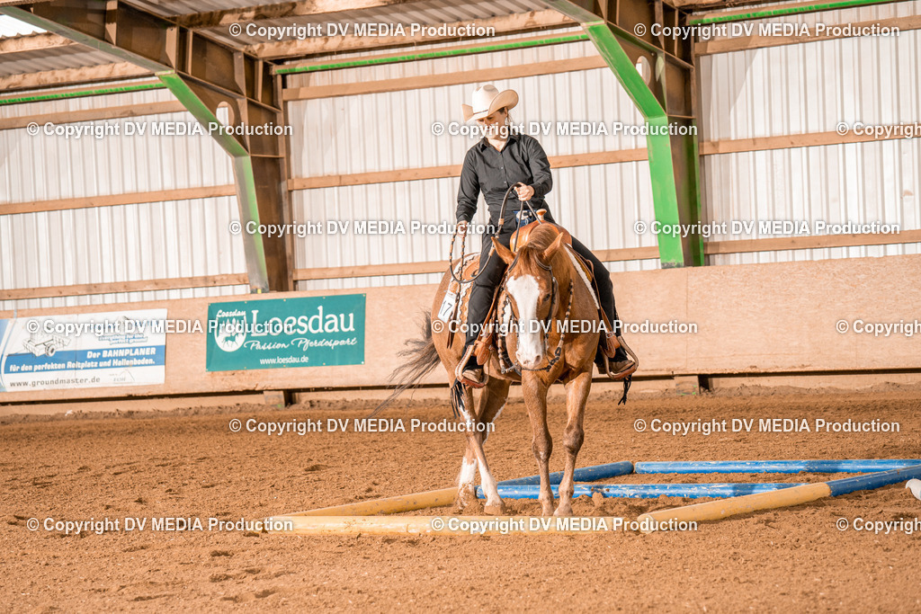 BAL00609 | dv-media-shop - Realisiert mit Pictrs.com