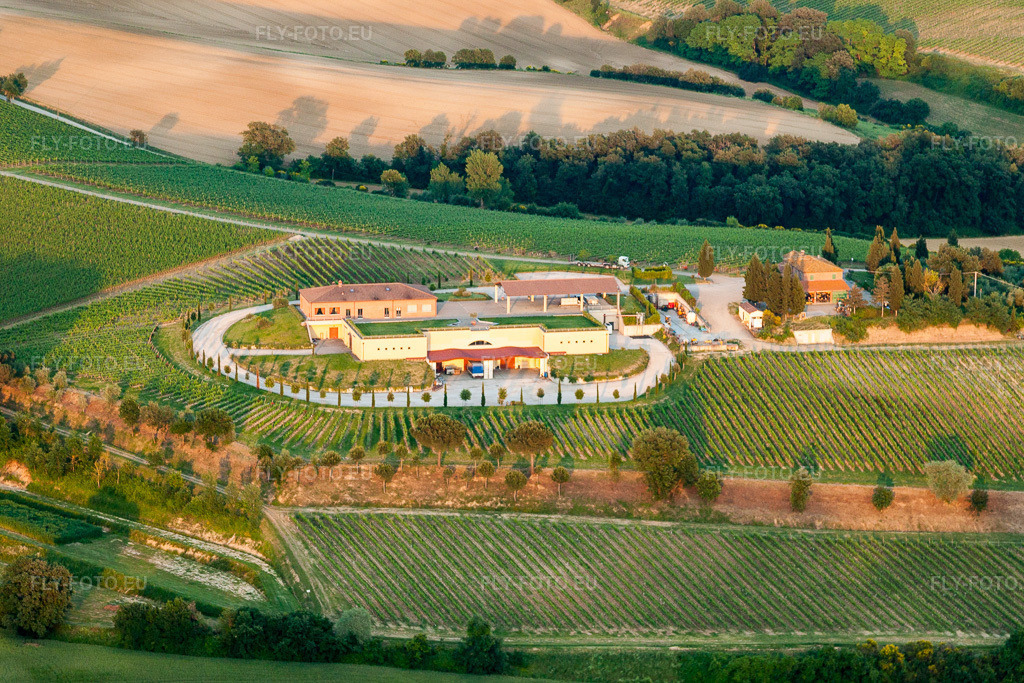Vue aérienne: Domaine viticole Avignonesi, Via della Lodola à Montepulciano dans le département Siena, Italie – .Photo: IMG_28378.jpg prise le 02/06/2010 par Werner Riehm/FLY-FOTO.eu – Résolution de l'original: 4503 x 3002 px