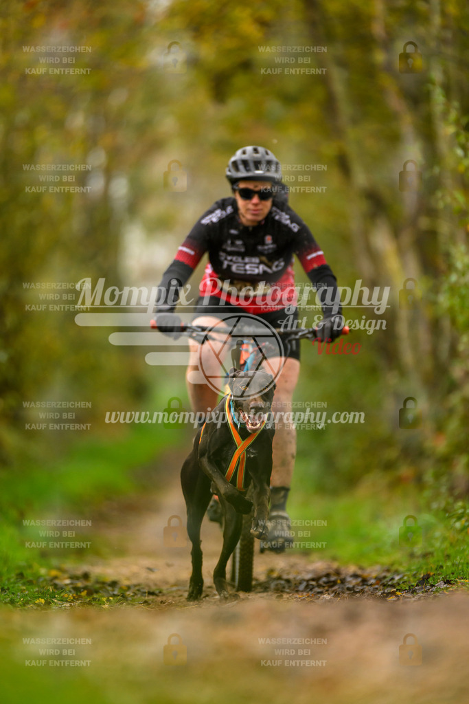 MompixPhotography_20TSB_E6_Bike-64 | mompixphotography