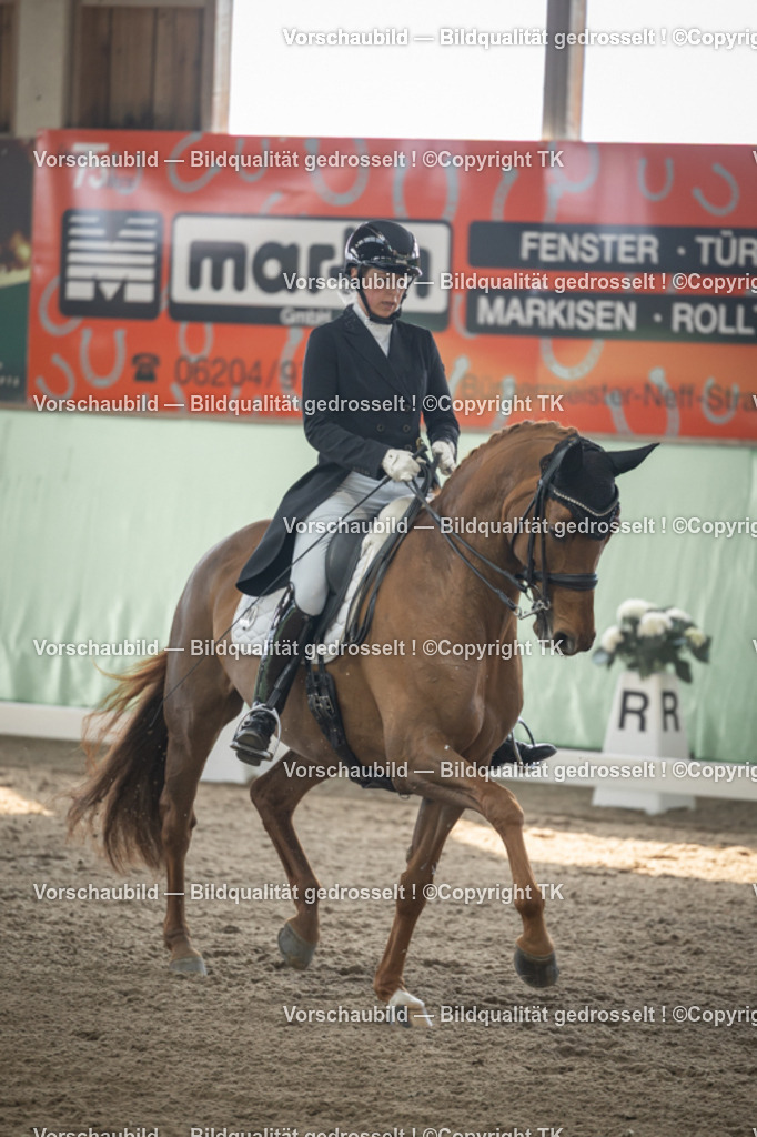 _D5A4569 | Emotionale Pferde- & People-Fotografie rund um Heidelberg, Leimen & Umgebung. Natürliche Fotos von Pferd, Mensch & Familie. Jetzt Termin sichern!