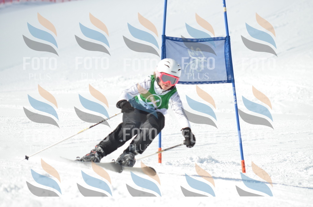 D8907 | holidayphoto