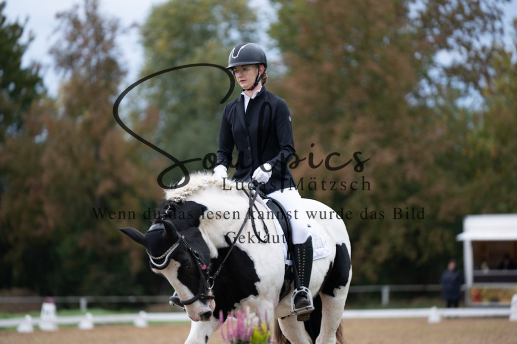 A7V05090 | Pferdefotograf