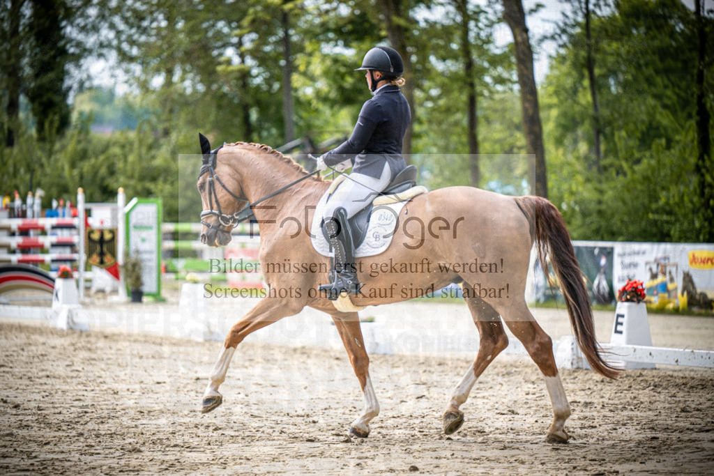 DOS_1519 | Reitturnier Venne - Realisiert mit Pictrs.com