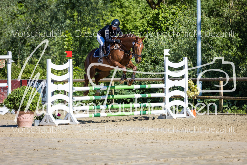 Donop24-A2Spr-007 | MomenTaufnahmen Pferdesportfotos